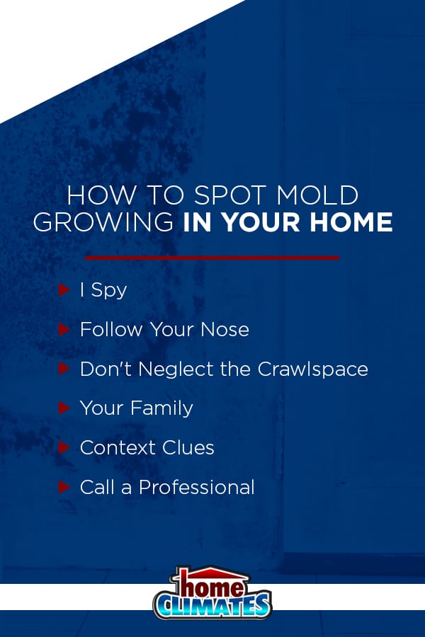 how to spot mold growing in your home