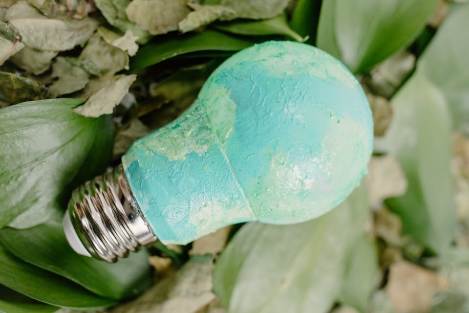 planet earth led lightbulb